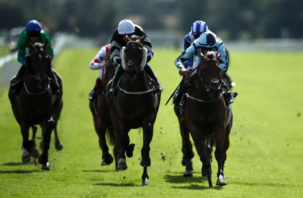 Today's Horse Racing Tips: Sunday May 15th