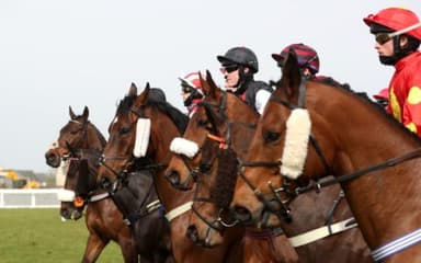 Today's Horse Racing Tips: Tuesday February 1st