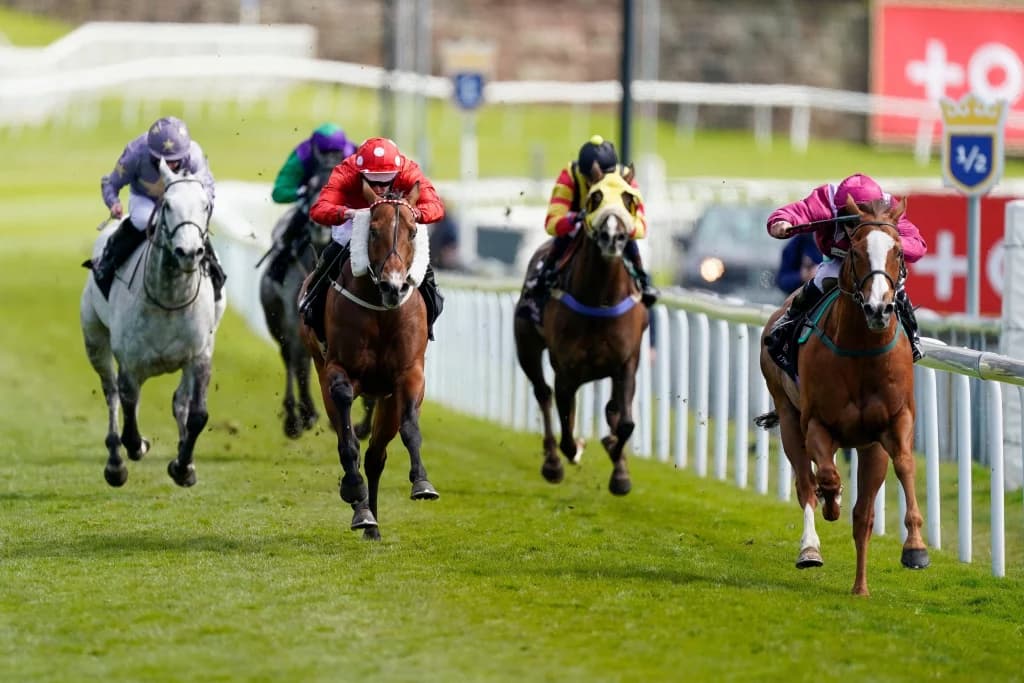 Today's Horse Racing Tips: Wednesday May 4th