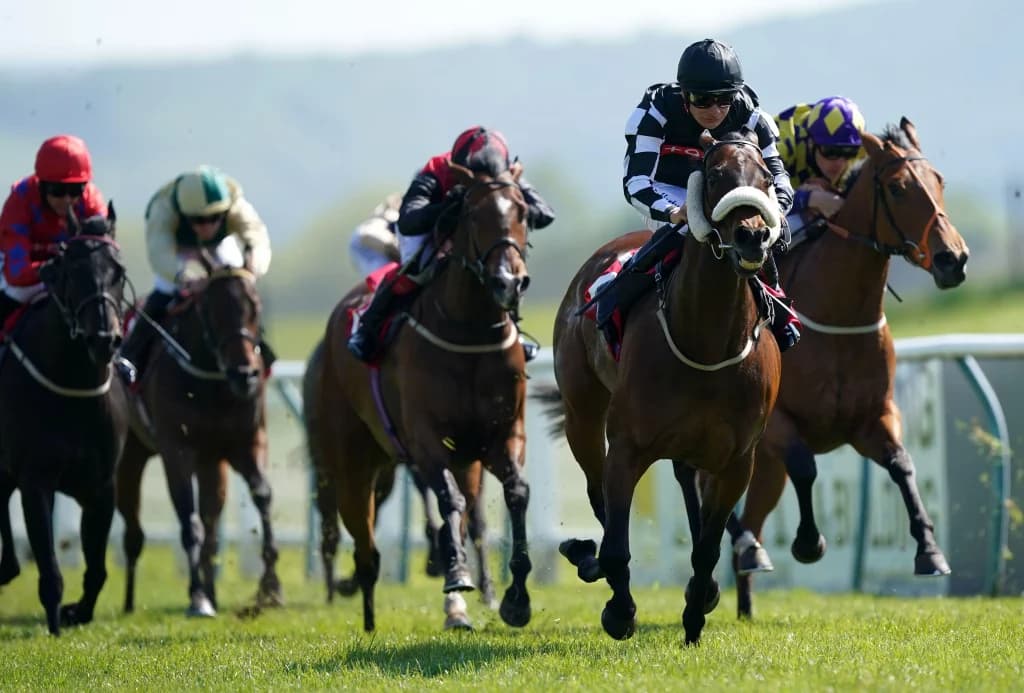 Today's Horse Racing Tips: Monday May 30th