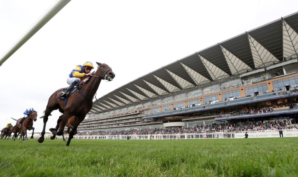 Betting on Royal Ascot 2022: Five Pointers For Punters