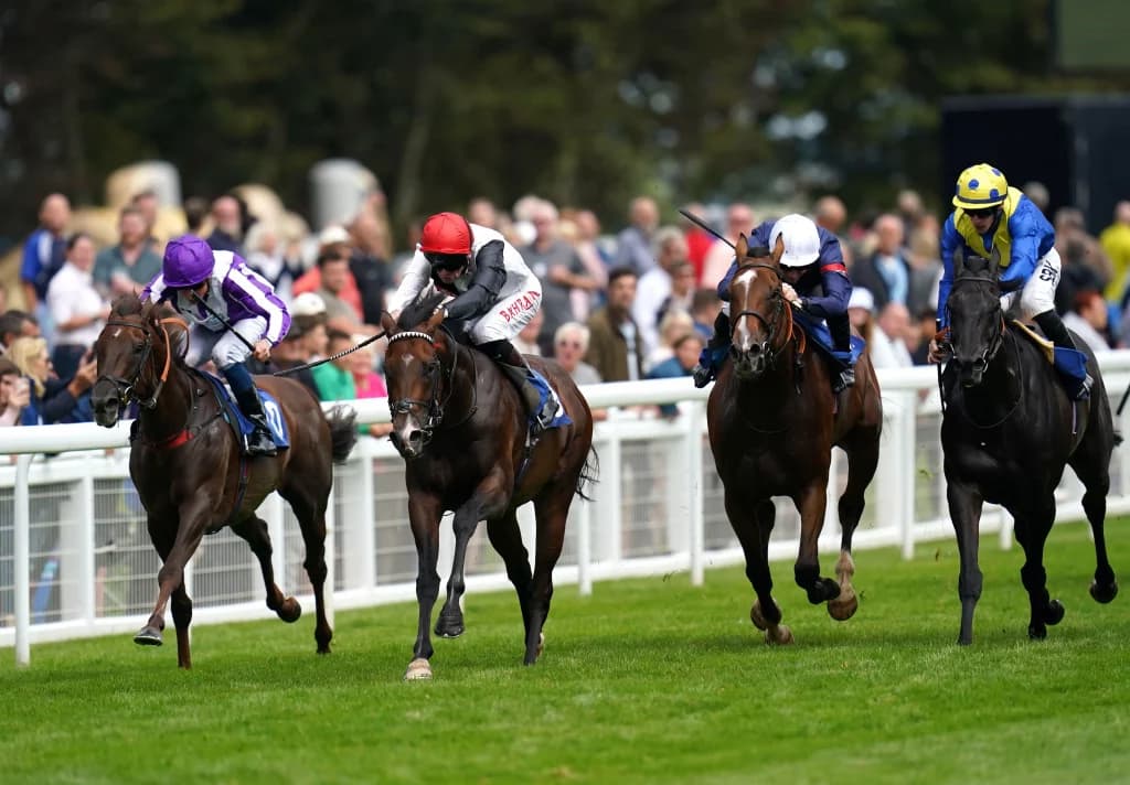 Today's Horse Racing Tips: Sunday June 12th
