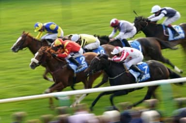 Today's Horse Racing Tips: Wednesday April 13th