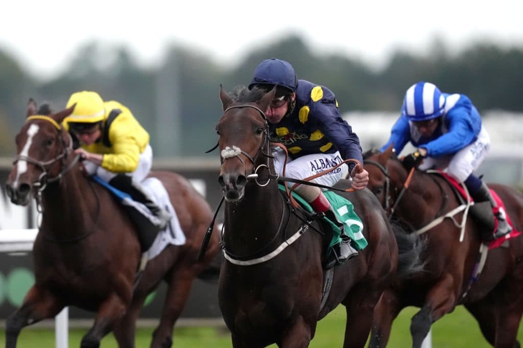 Today's Horse Racing Tips: Monday December 27th