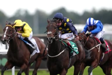 Today's Horse Racing Tips: Friday February 11th