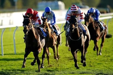 Today's Horse Racing Tips: Tuesday January 25th