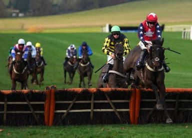 Today's Horse Racing Tips: Friday February 4th