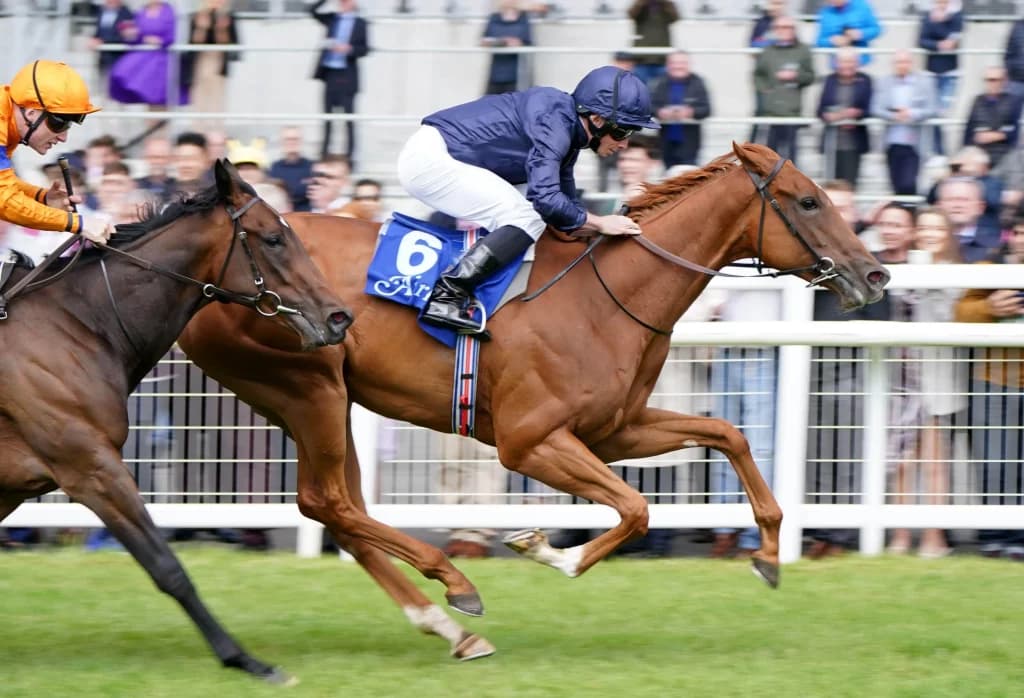 10 Horses To Follow This Summer