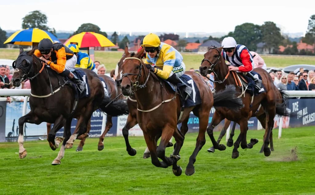 Thursday's Horse Racing Tips: Beverley, April 24th