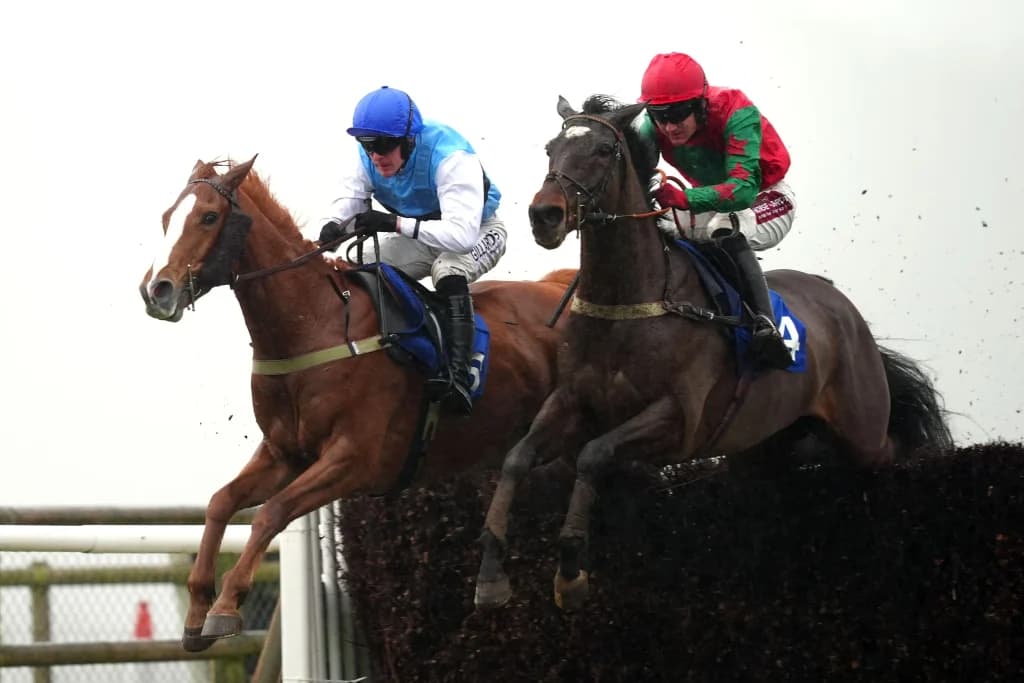 Tuesday's Horse Racing Tips: Taunton, February 18th