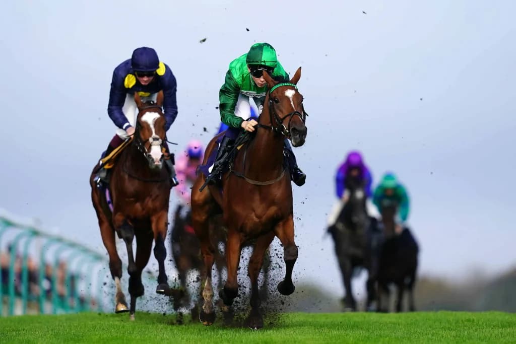 Tuesday's Horse Racing Tips: Brighton, April 29th