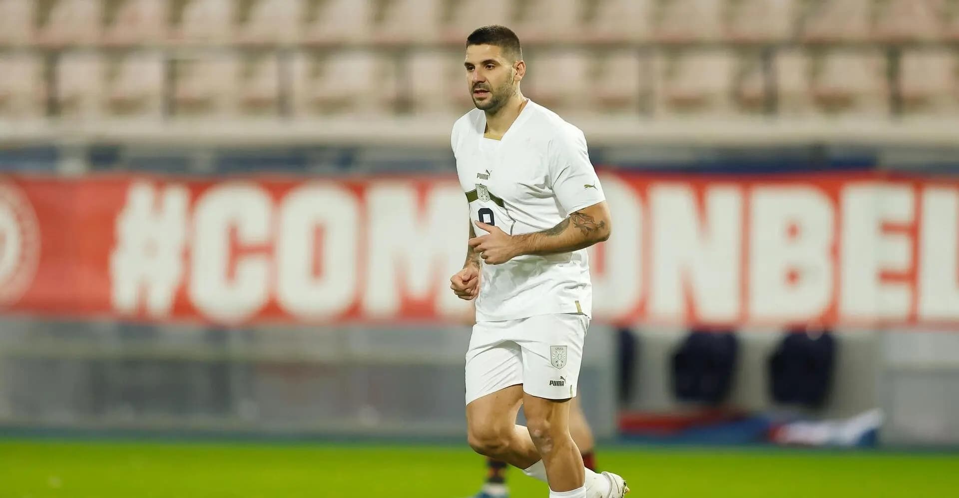 aleksandar mitrovic - serbia