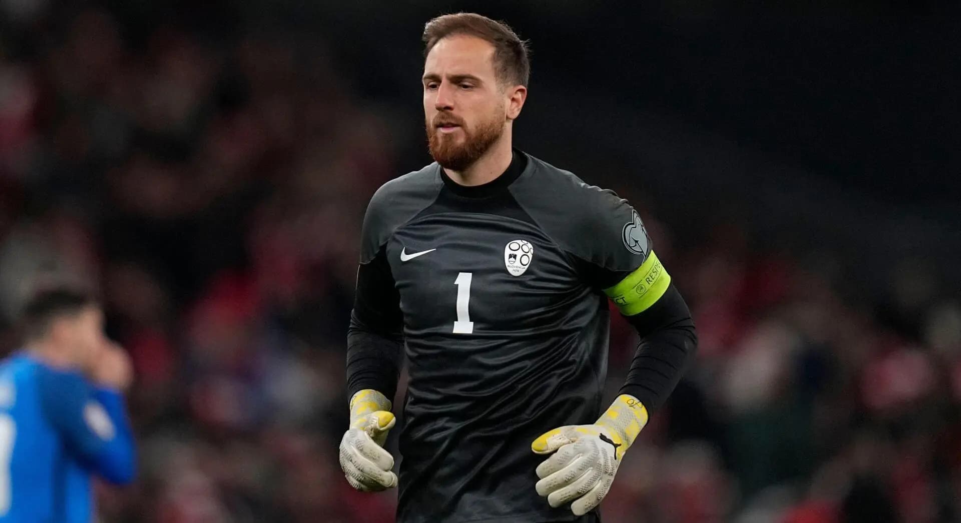 Jan Oblak - Slovenia