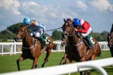 Sunday's Horse Racing Tips: Leicester, Ripon, August 11th