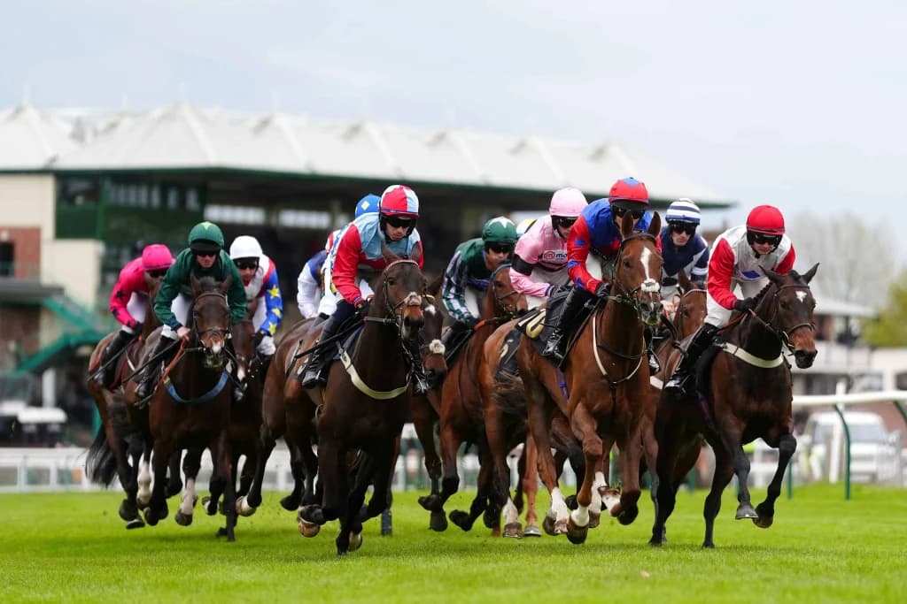 Wednesday's Horse Racing Tips: Warwick, November 20th