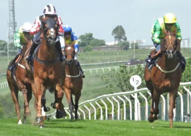 Friday's Horse Racing Tips: Brighton, August 9th