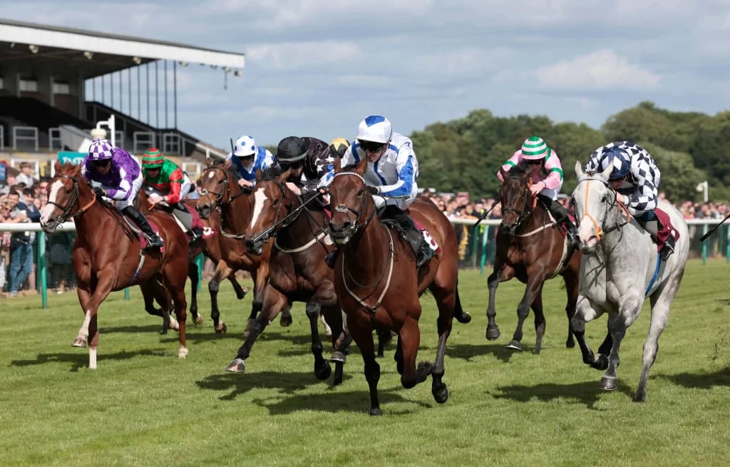 Saturday’s ITV Racing Tips: Ascot and Haydock, November 23rd