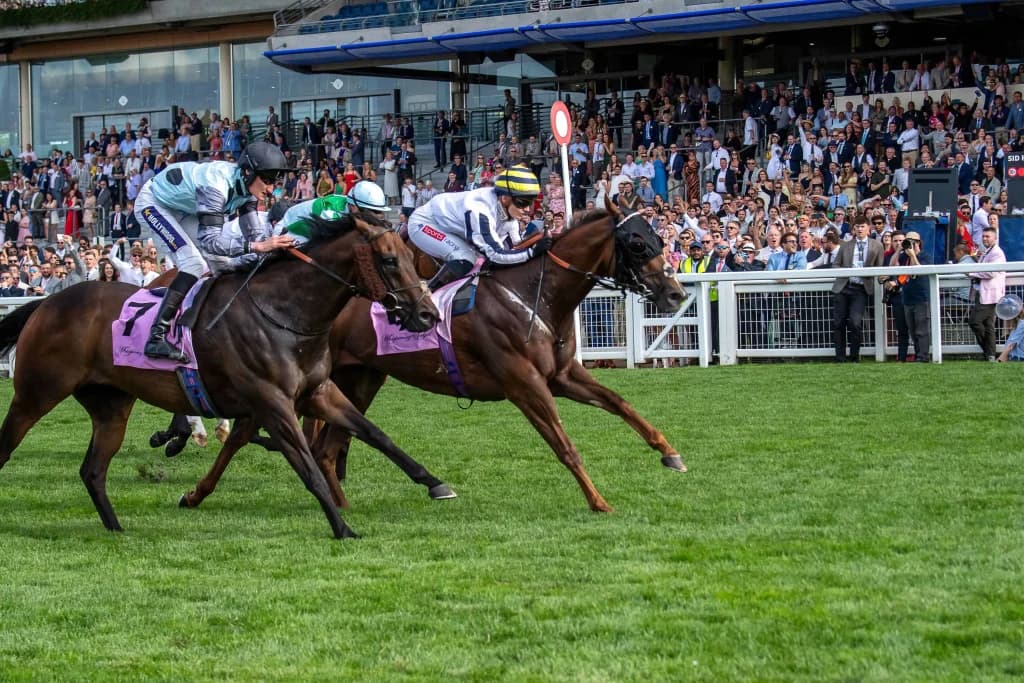 Saturday’s Horse Racing Tips: Ascot, Haydock  August 10th