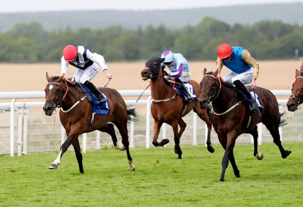 Sunday's Horse Racing Tips: Goodwood, October 13th