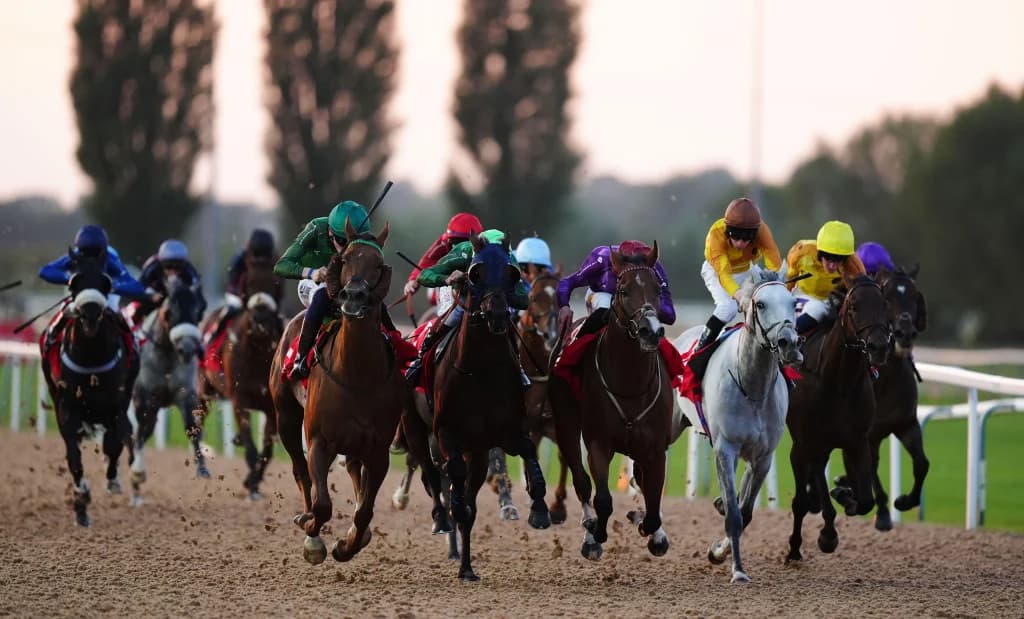 Tuesday's Horse Racing Tips: Southwell, November 26th