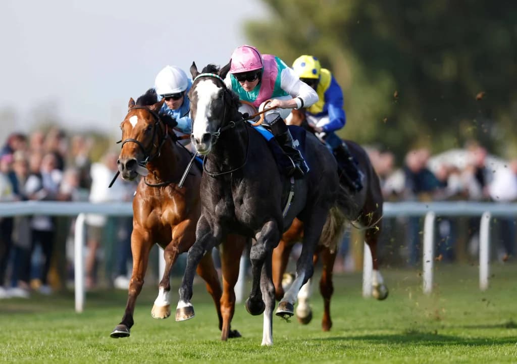 Thursday's Horse Racing Tips: Yarmouth, May 1st