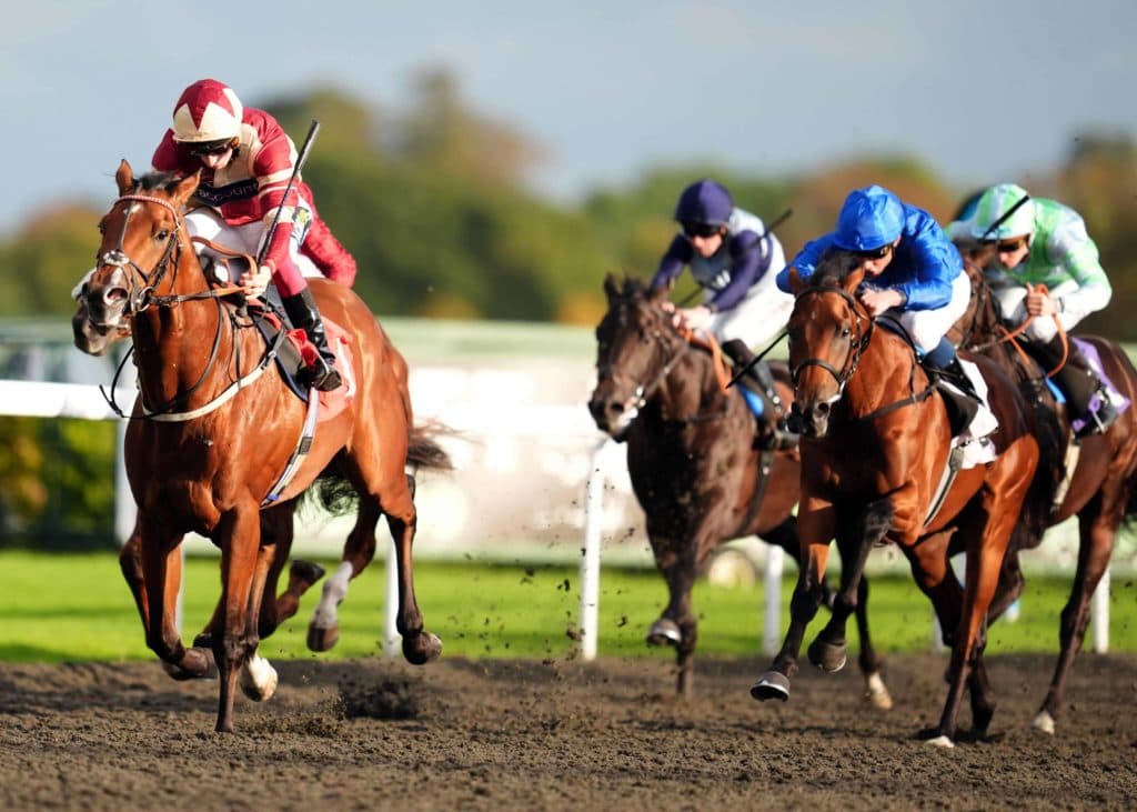 Monday's Horse Racing Tips: Kempton, November 11th