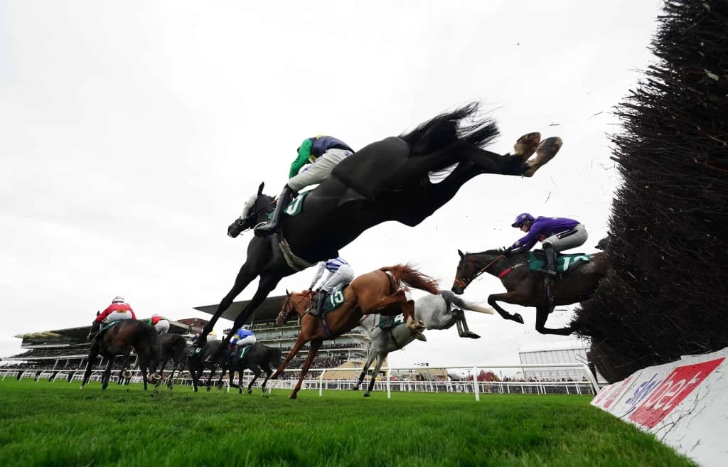 Friday's Horse Racing Tips: Cheltenham, November 15th