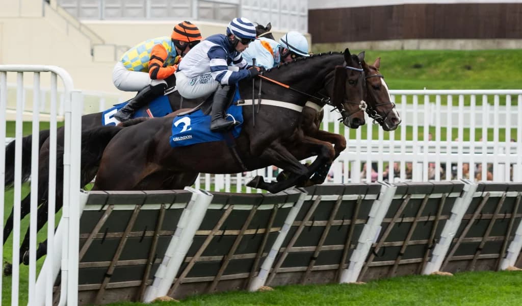 Friday's Horse Racing Tips: Ascot, November 22nd