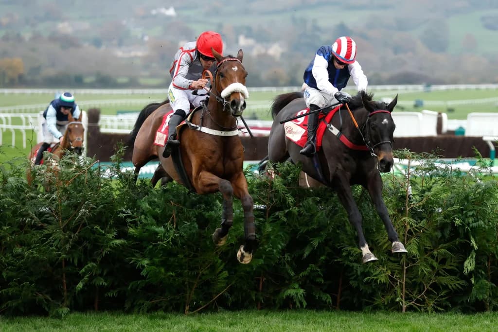 Saturday’s ITV Racing Tips: Cheltenham and Newcastle, November 16th