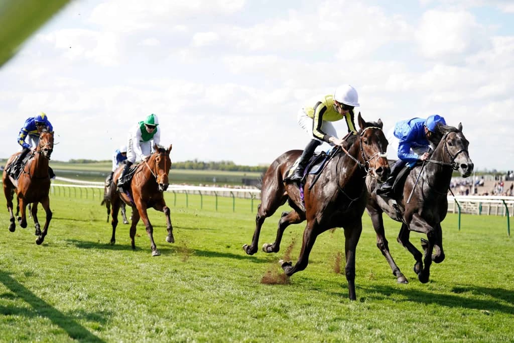 Friday's Horse Racing Tips: Newmarket, May 2nd