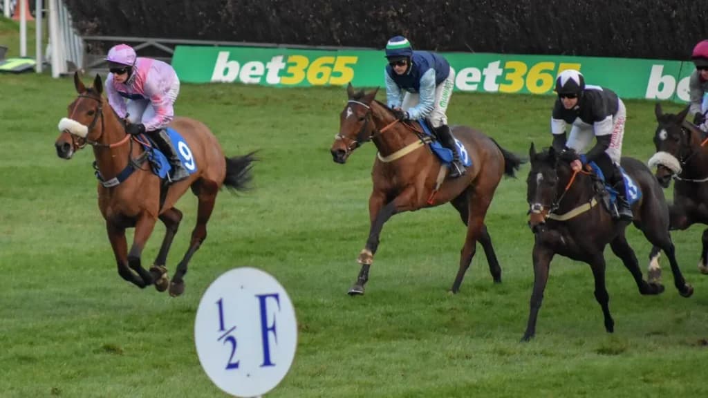 Sunday’s Horse Racing Tips: Ludlow, May 12th