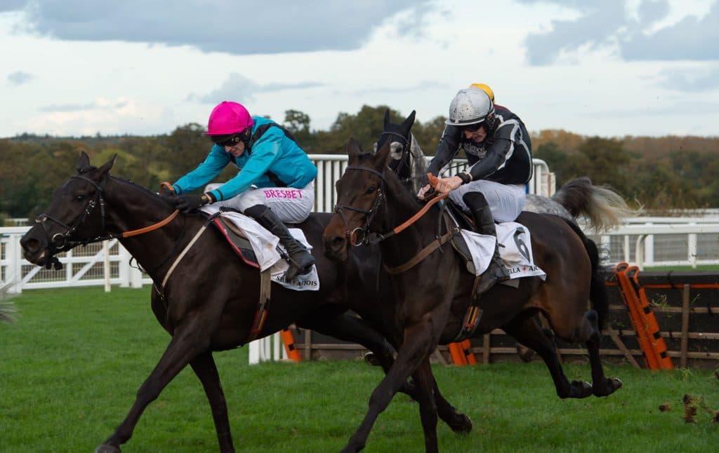 Today's Horse Racing Tips: Friday November 19th