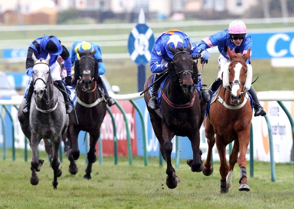 Today's Horse Racing Tips: Monday November 29th