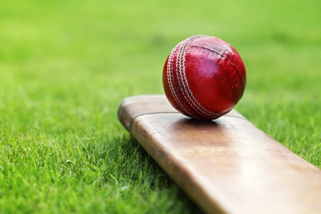 IPL Final Best Bet: Gujarat Titans vs Rajasthan Royals, May 29th