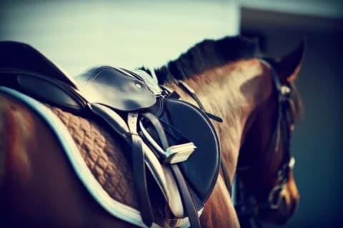 Check out the best Cheltenham 2022 betting offers