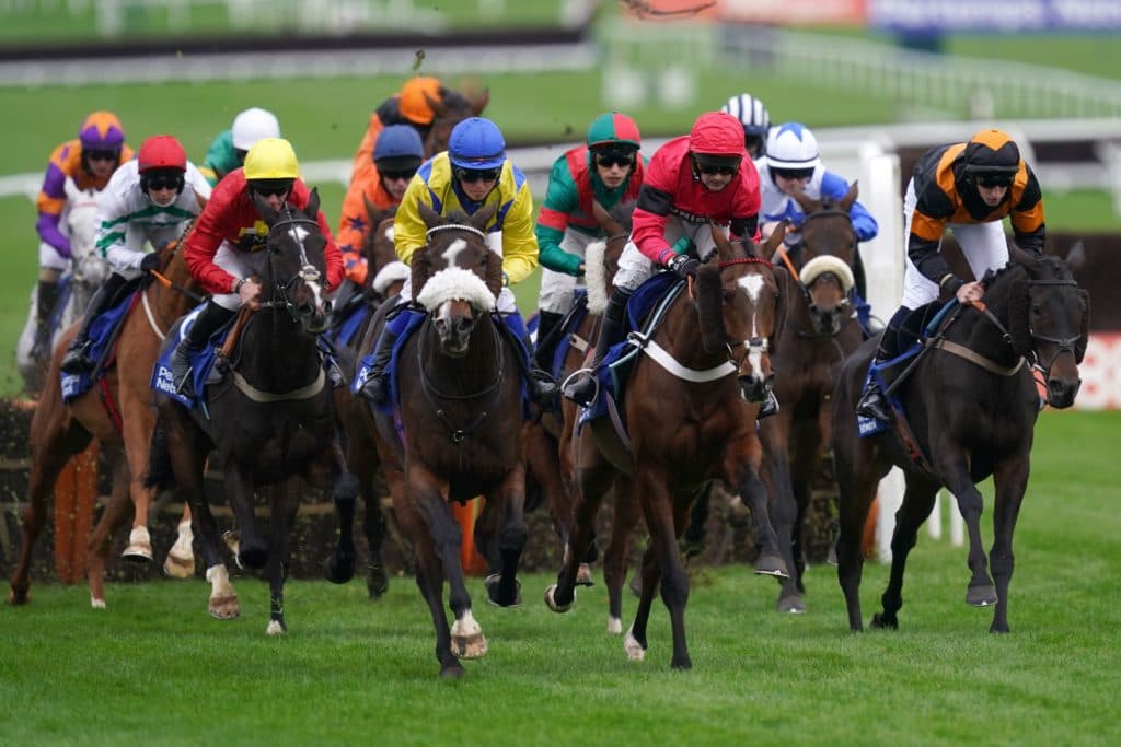 Saturday's Horse Racing Tips: November 13th 2021