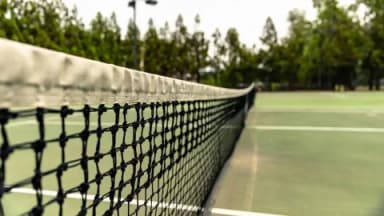 Varvara Gracheva vs Leylah Fernandez Prediction, Picks, Odds, H2H, Stats - 10/22/24