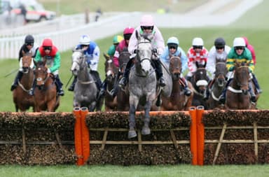 Unibet Champion Hurdle Tips: Cheltenham Festival 2023, March 14th