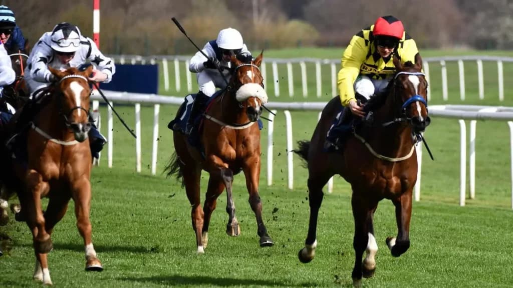 Sunday’s Horse Racing Tips: Doncaster, September 15th