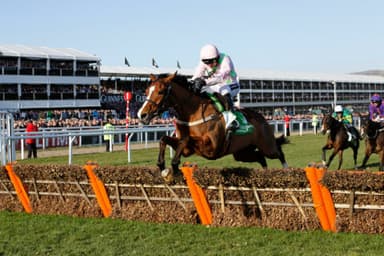 Paddy Power Stayers Hurdle Tips: Cheltenham Festival 2023, March 16th