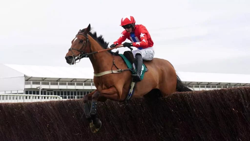 10 things we learned from the Cheltenham Showcase October meeting