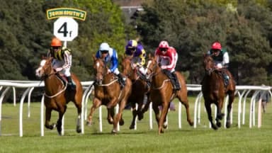 Wednesday's Horse Racing Tips: Musselburgh, October 2nd