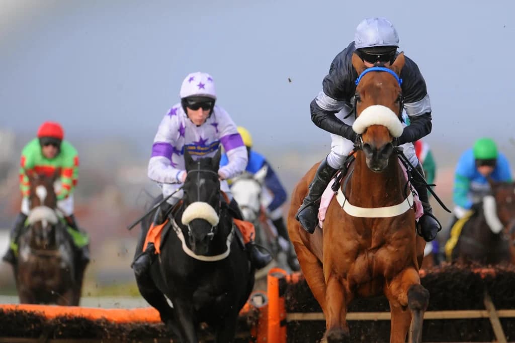 Tuesday's Horse Racing Tips: Carlisle, November 19th