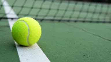 Qinwen Zheng vs Leylah Fernandez Prediction, Picks, Odds, H2H, Stats - 10/25/24