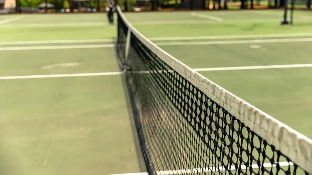 Maya Joint vs Marina Stakusic Prediction, Picks, Odds, H2H, Stats - 10/29/24