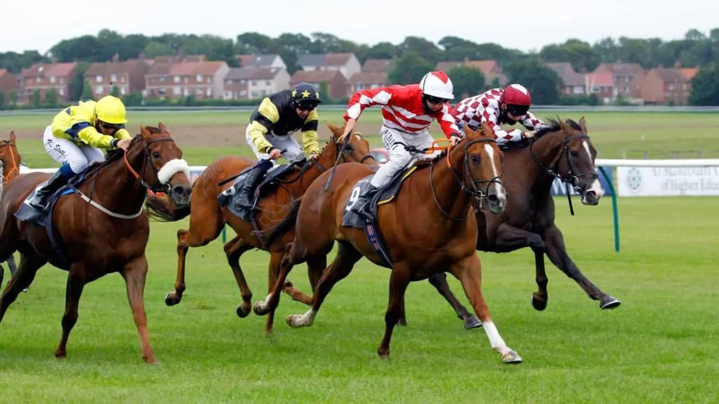Tuesday's Horse Racing Tips: Ayr, October 1st