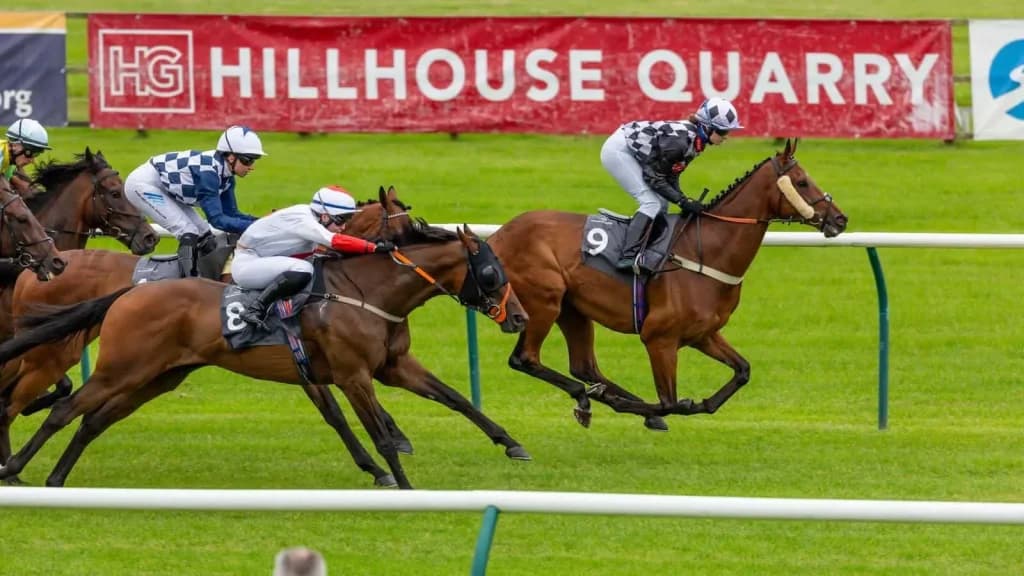 Monday's Horse Racing Tips: Ayr, July 15th