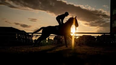 Sunday’s Horse Racing Tips: Brighton, September 1st