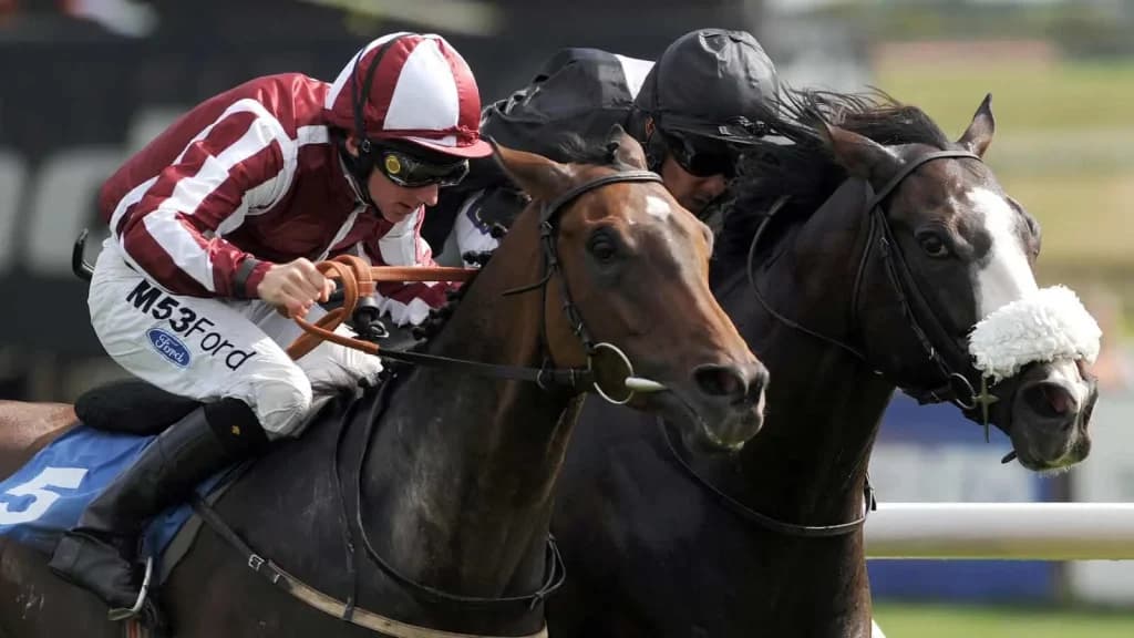 Wednesday's Horse Racing Tips: Catterick, August 28th