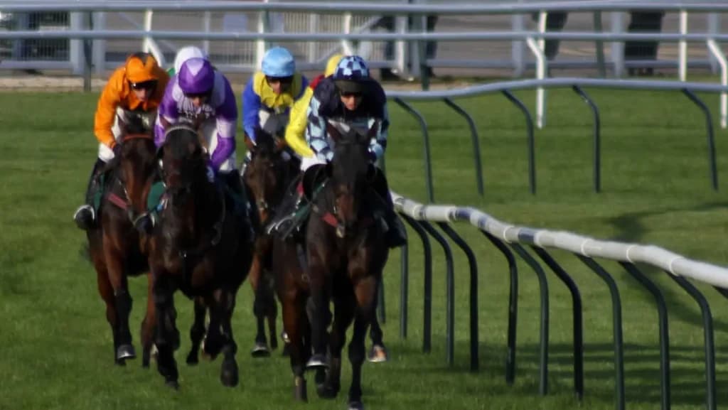 Friday's Horse Racing Tips: Cheltenham, December 13th
